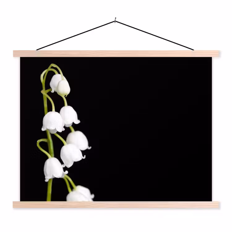 Lelietjes van dalen - Bloemen - Zwart - Flora textielposter latten blank klein -3d