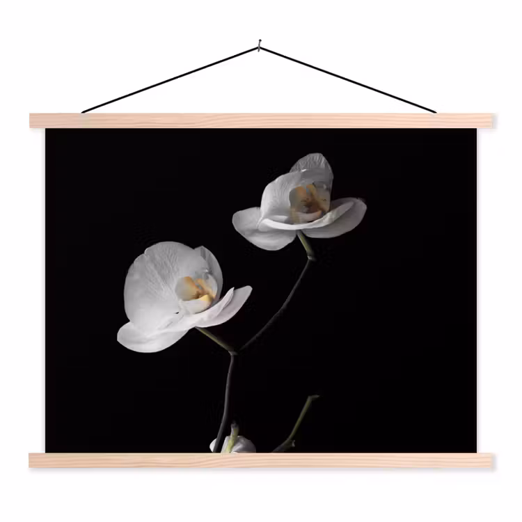 Orchidee - Bloemen - Zwart - Wit - Stilleven textielposter latten blank klein -3d