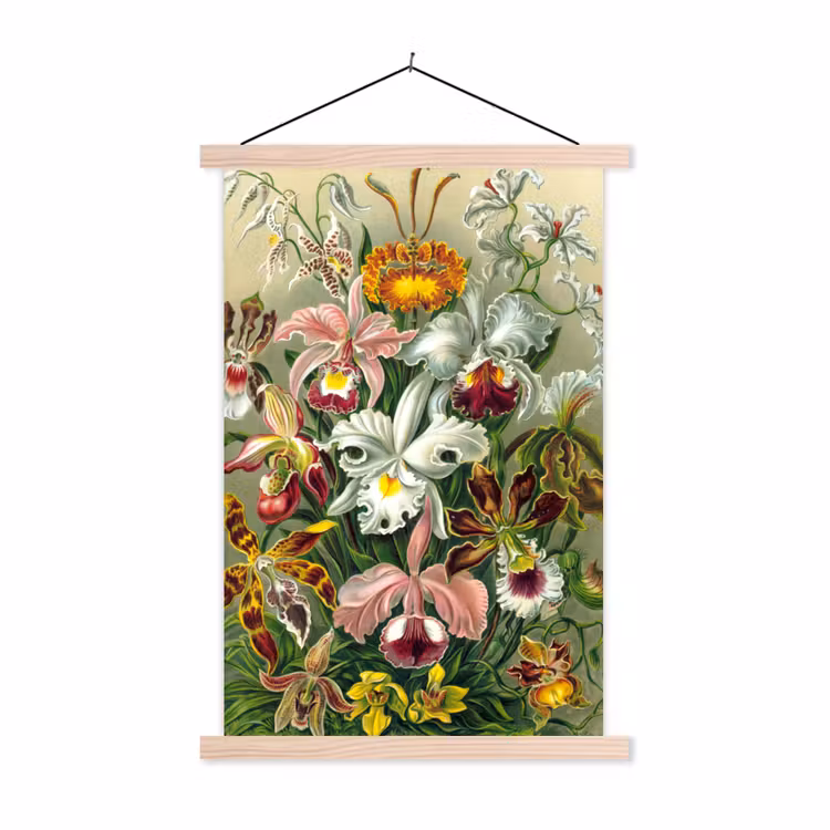 Planten - Natuur - Bloemen - Ernst Haeckel textielposter latten blank klein -3d