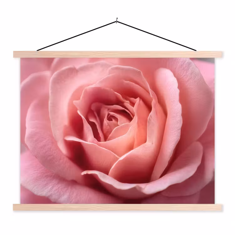 Roze - Roos - Romantisch textielposter latten blank klein -3d