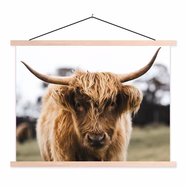 Schotse Hooglander - Koe - Gras - Dieren - Natuur textielposter latten blank klein -3d