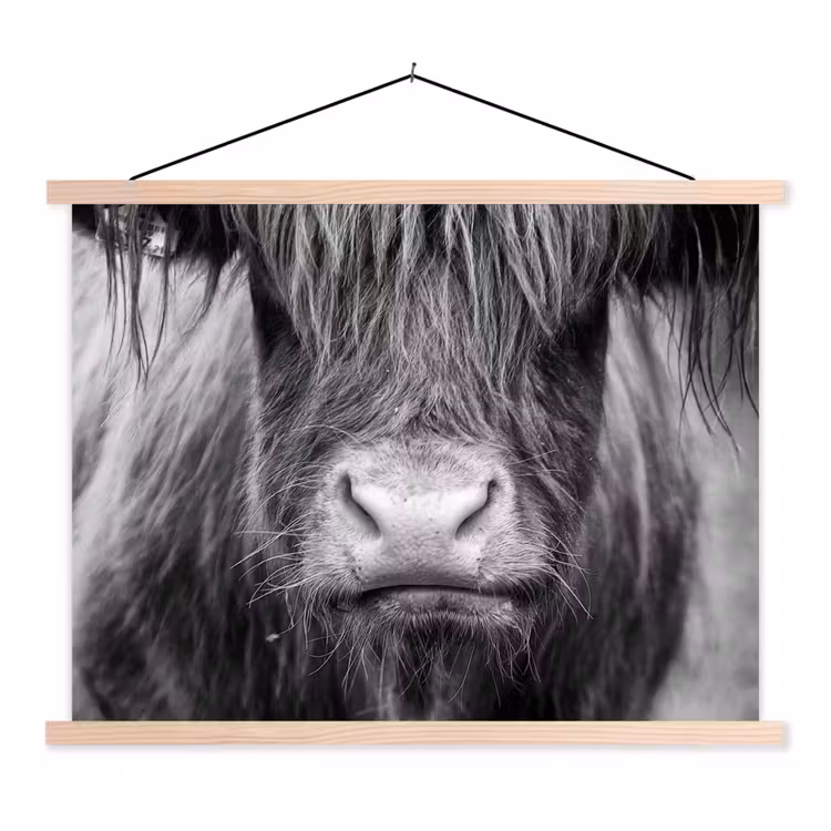 Schotse hooglander - Koe - Zwart - Wit - Dieren textielposter latten blank klein -3d
