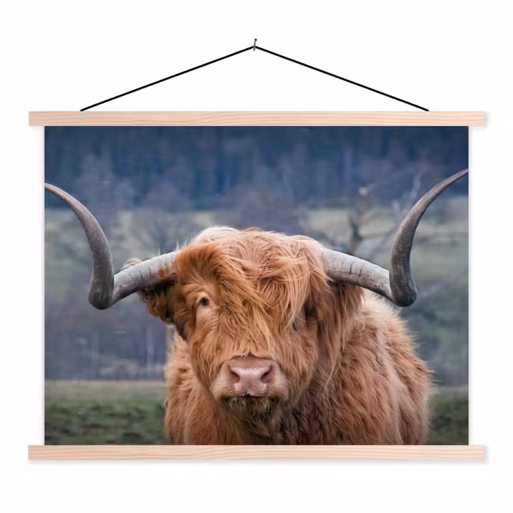 Schotse Hooglander - Koeienkop - Landschap - Natuur - Koe textielposter latten blank klein -3d