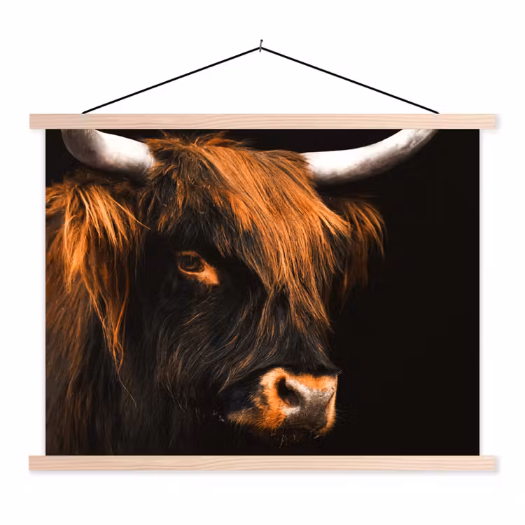 Schotse hooglander - Zwart - Koe - Hoorn - Dieren textielposter latten blank klein -3d