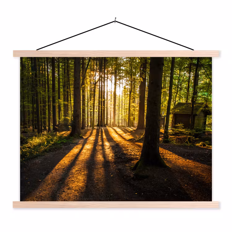 Zon - Bomen - Bos - Landschap textielposter latten blank klein -3d