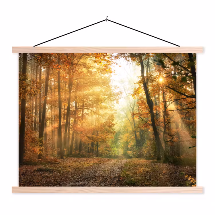 Bos - Herfst - Zon - Landschap - Natuur - Bomen - Bladeren textielposter latten blank klein -3d