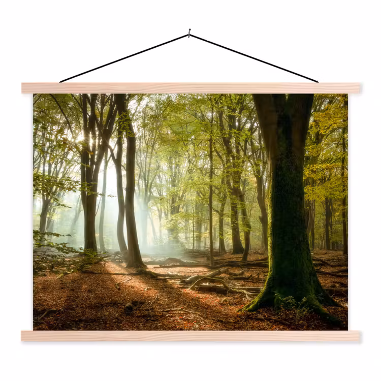 Bos - Zon - Seizoenen - Landschap textielposter latten blank klein -3d