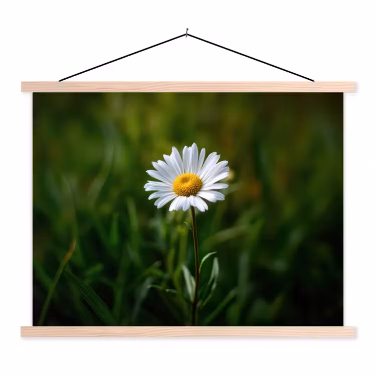 Wit - Madeliefje - Bloem - Gras textielposter latten blank klein -3d