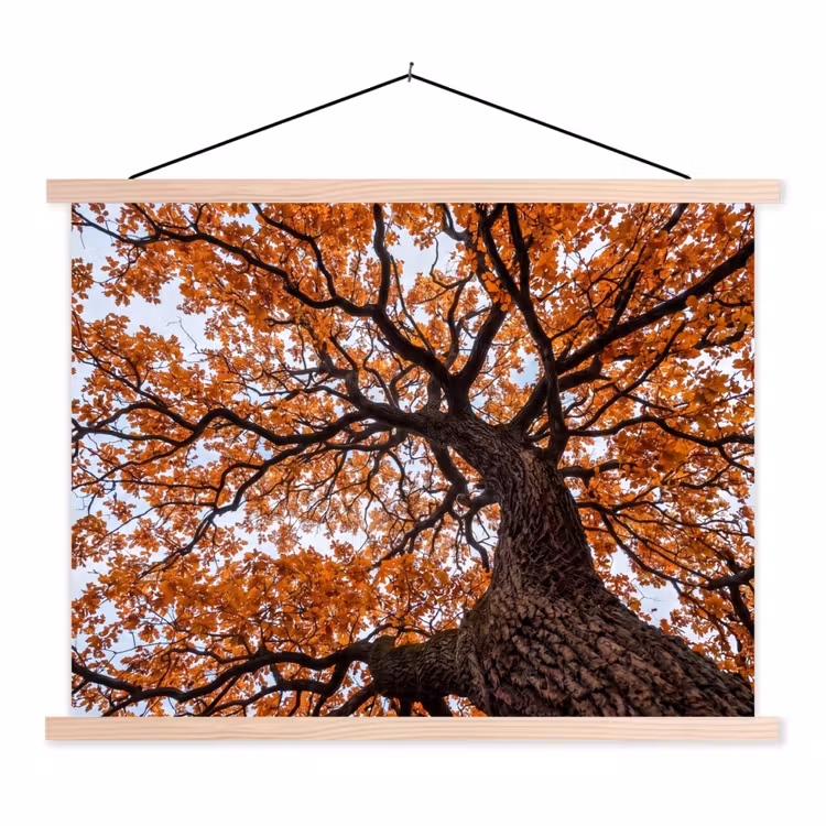 Boom - Bladerdak - Herfst - Oranje - Sfeervol textielposter latten blank klein -3d