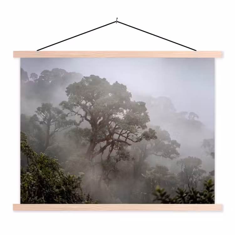 Boom - Mistig - Bos - Groen - Natuur textielposter latten blank klein -3d