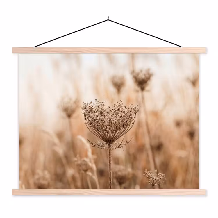 Schermbloem - Droogbloem - Winter - Beige - Minimalistisch textielposter latten blank klein -3d