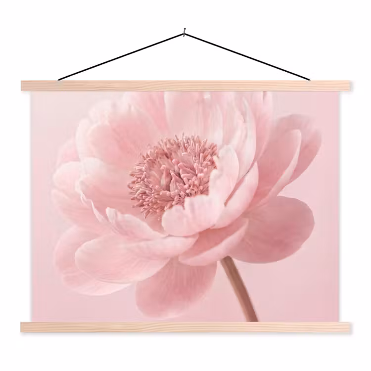 Bloem - Pioenroos - Roze textielposter latten blank klein -3d