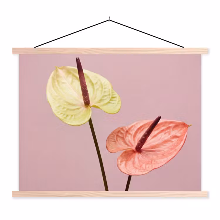 Bloemen - Anthuriums - Geel - Roze textielposter latten blank klein -3d