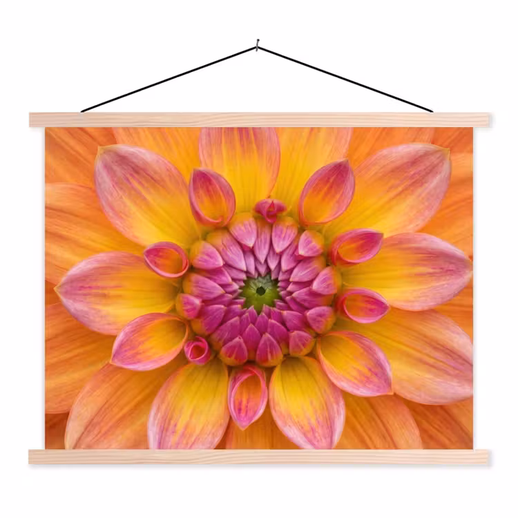 Dahlia - Bloem - Oranje textielposter latten blank klein -3d