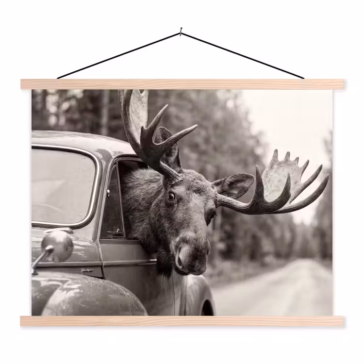 Eland - Auto - Gewei - Zwart - Wit textielposter latten blank klein -3d