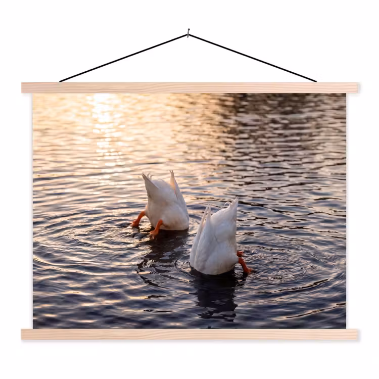 Eenden - Water - Natuur textielposter latten blank klein -3d