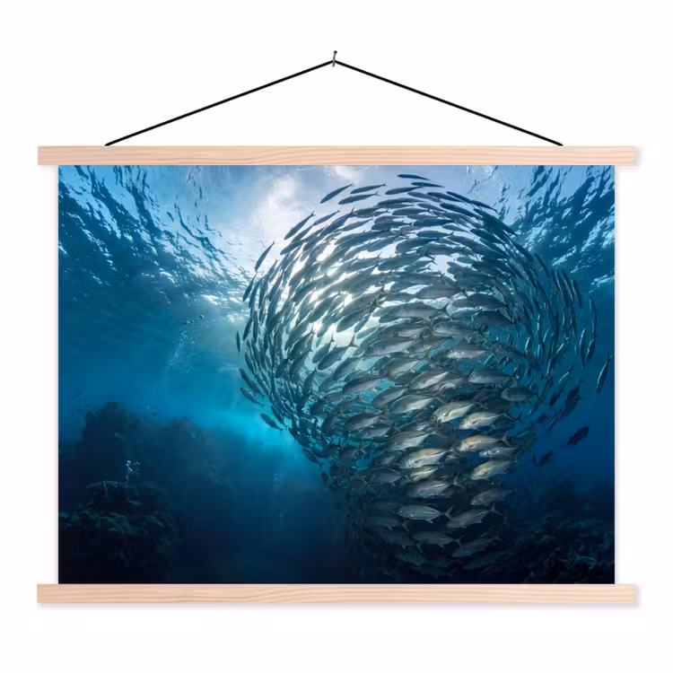 Vis - School - Oceaan - Natuur - Blauw textielposter latten blank klein -3d