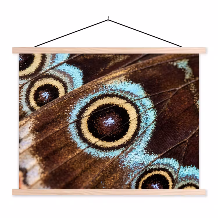 Stoffbild - Flügel - Schmetterling - Blau - Vleugels - Vlinder - Blauw textielposter latten blank klein