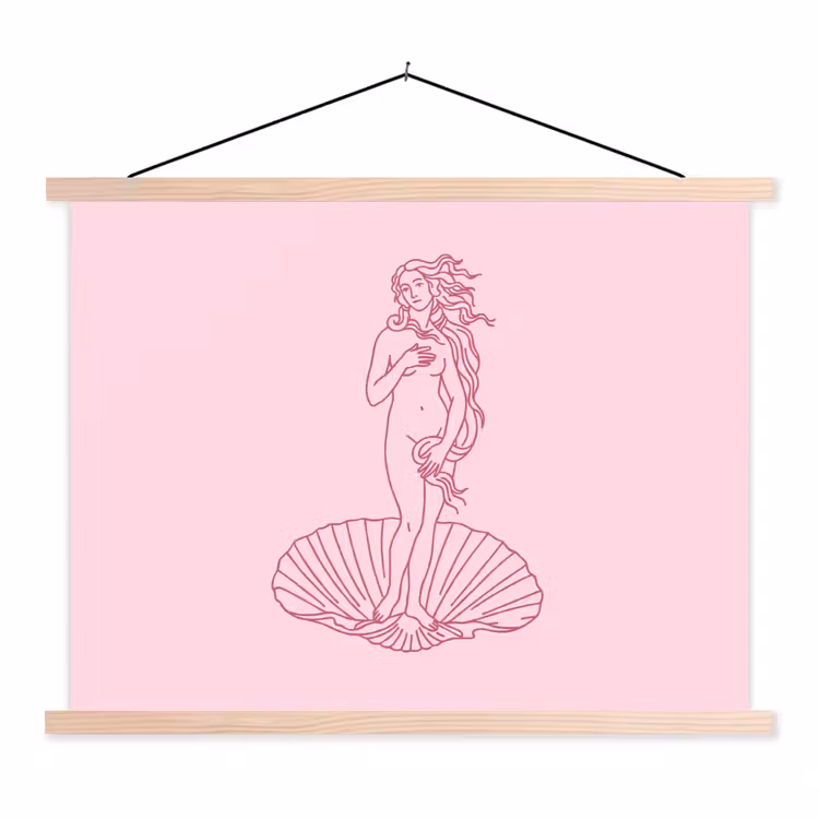Vrouw - Schelp - Kunst - Lijntekening - Roze textielposter latten blank klein -3d
