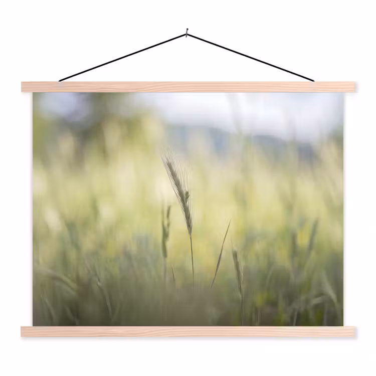 Graan - Aar - Natuur - Groen - Detail textielposter latten blank klein -3d