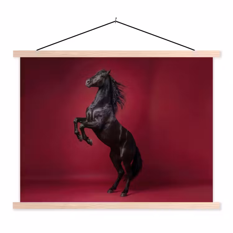 Hengst - Steigert - Rood textielposter latten blank klein -3d