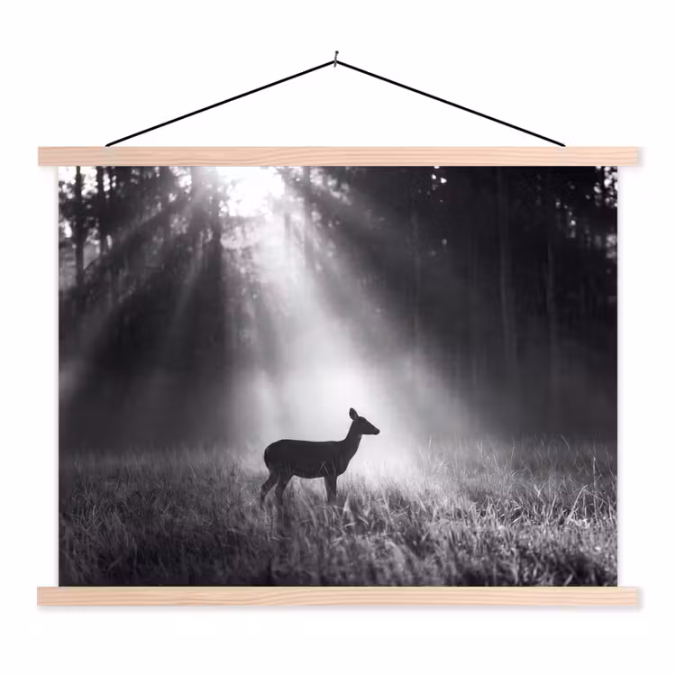 Hert - Bos - Zonnestralen - Zwart-wit - Natuur textielposter latten blank klein -3d