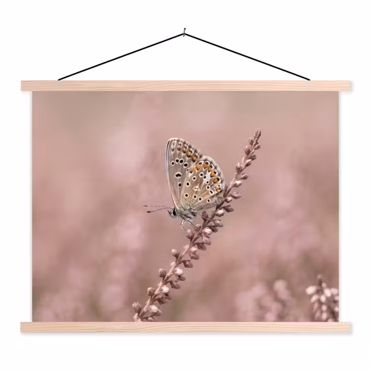 Lavendel - Vlinder - Paars textielposter latten blank klein -3d