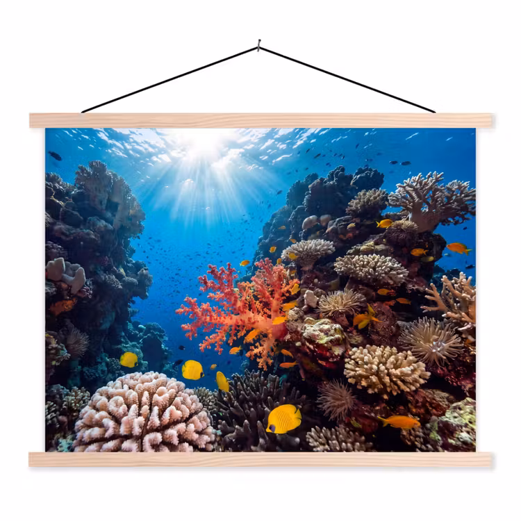 Zee - Koraalrif - Natuur - Levendig - Blauw textielposter latten blank klein -3d