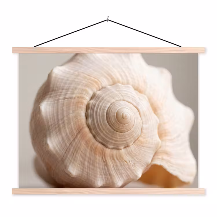 Schelp - Detail - Beige textielposter latten blank klein -3d