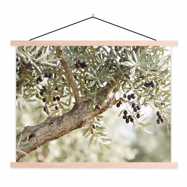 Stoffbild - Olivenbaum – Zweig – grün - Olijfboom - tak - groen textielposter latten blank klein