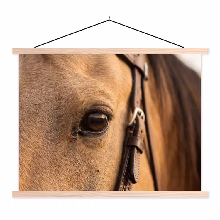 Paard - Oog - Bruin textielposter latten blank klein -3d