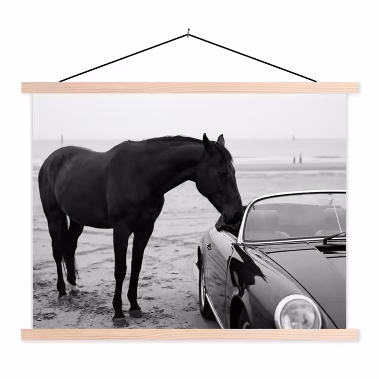 Paard - Auto - Zwart - Wit textielposter latten blank klein -3d