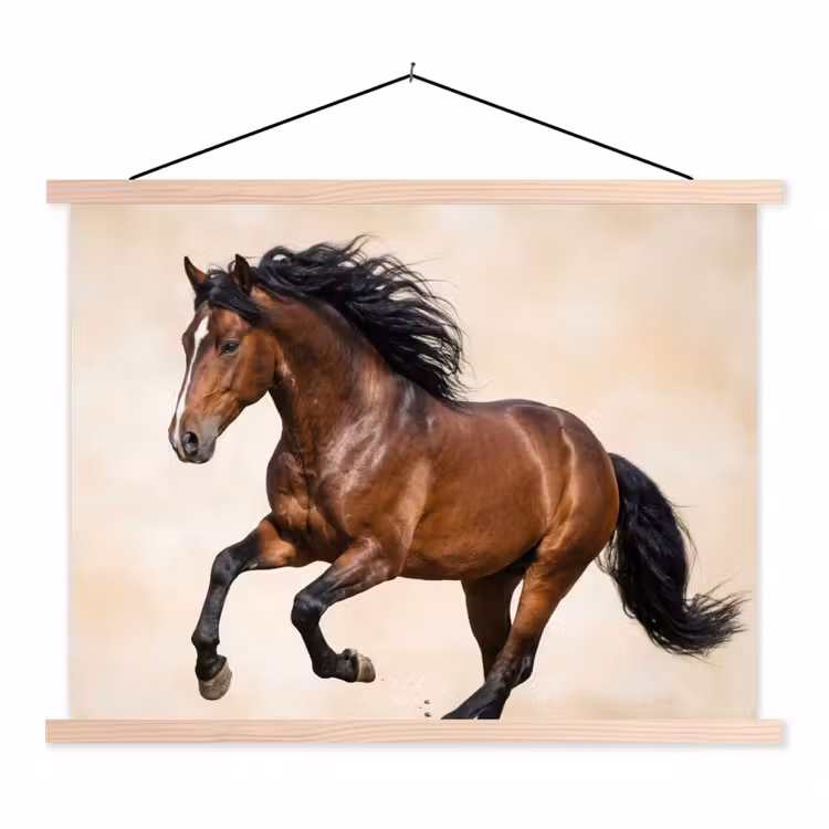 Paard - Galop - Energie textielposter latten blank klein -3d