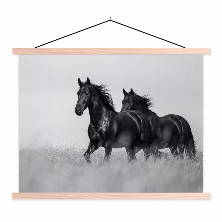 Paarden - Gras - Zwart - Wit textielposter latten blank klein -3d