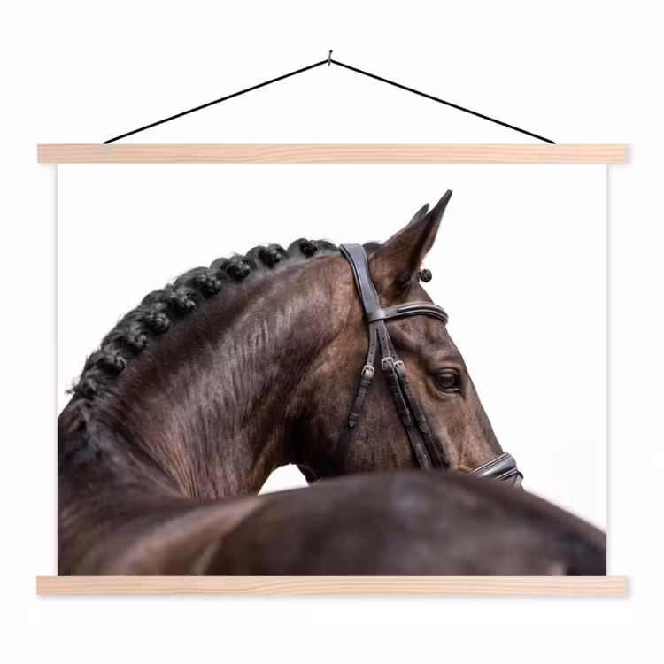 Portret - Paard - Elegant textielposter latten blank klein -3d
