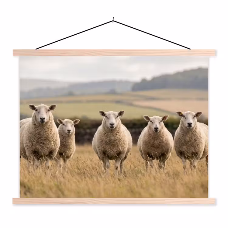 Schapen - Weidenlandschap - Heuvels textielposter latten blank klein -3d