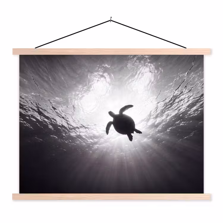 Schildpad - Onderwater - Lichtstralen - Oceaan - Zwart-wit textielposter latten blank klein -3d
