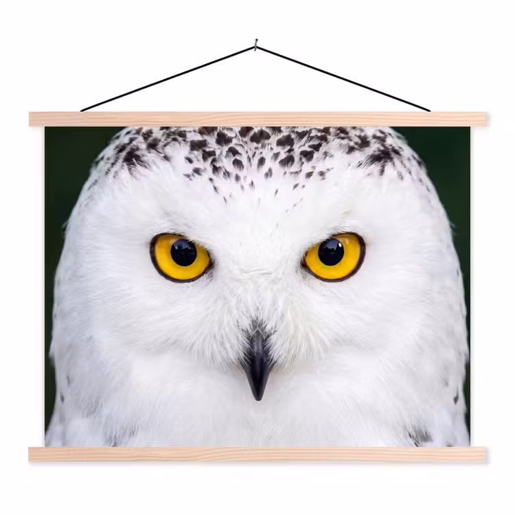Sneeuwuil - Portret - Geel textielposter latten blank klein -3d
