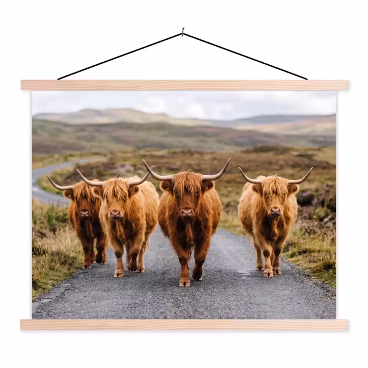 Schotse Hooglanders - Weg - Landschap - Kudde textielposter latten blank klein -3d