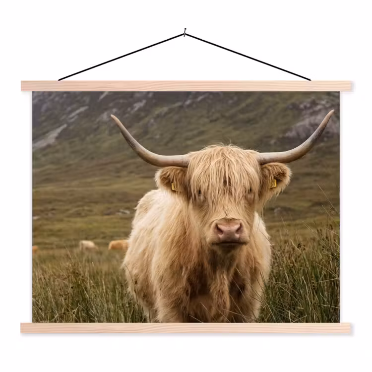Schotse hooglander - Bergen - Grasveld textielposter latten blank klein -3d