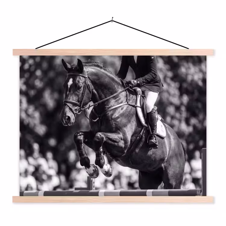 Springen - Paard - Zwart - Wit textielposter latten blank klein -3d