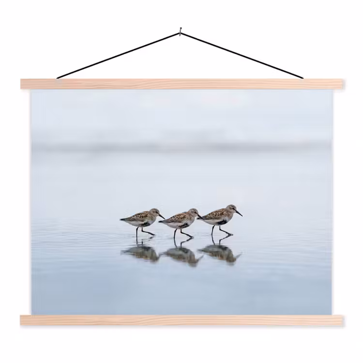 Vogels - Water - Grijs textielposter latten blank klein -3d