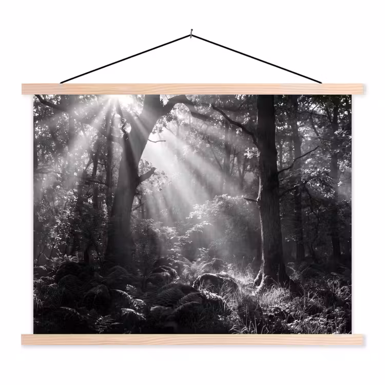 Bos - Lichtstralen - Natuur - Zwart-wit textielposter latten blank klein -3d