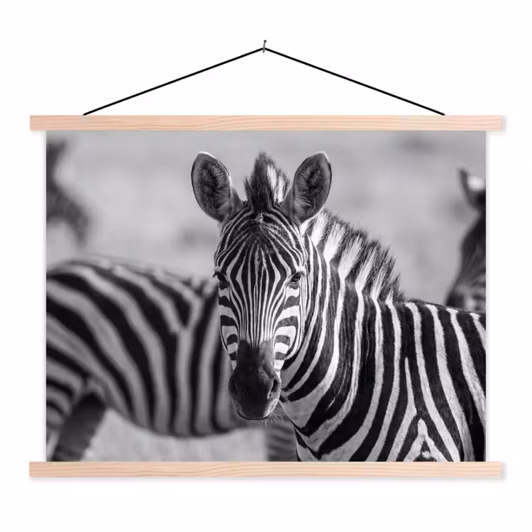 Zebra's - Zwart - Wit textielposter latten blank klein -3d