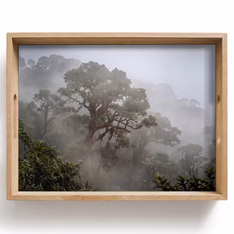 Boom - Mistig - Bos - Groen - Natuur Dienblad Rechthoek middel -z3d_shopping