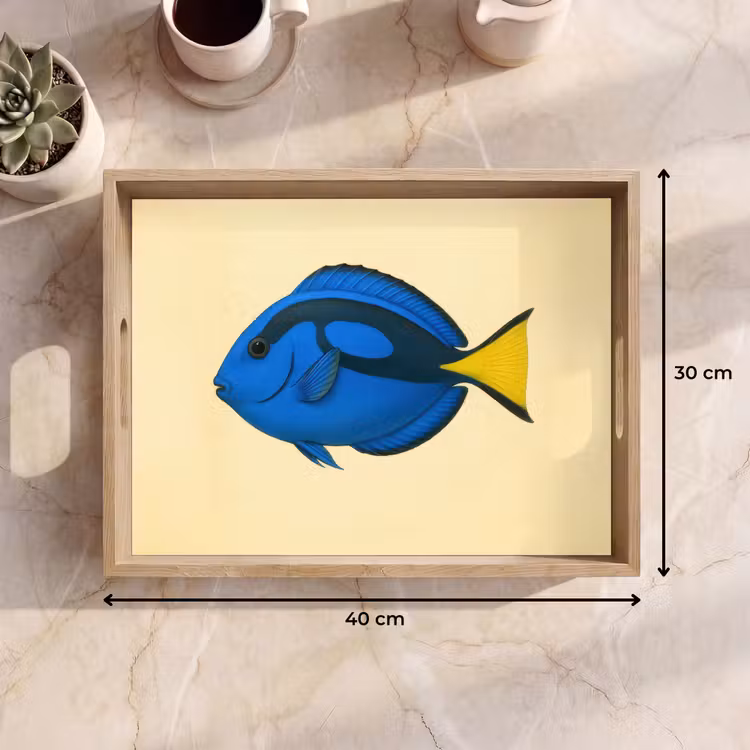Blauw - Dory - Vis - Staartvin Dienblad Rechthoek middel -USP_Formaat