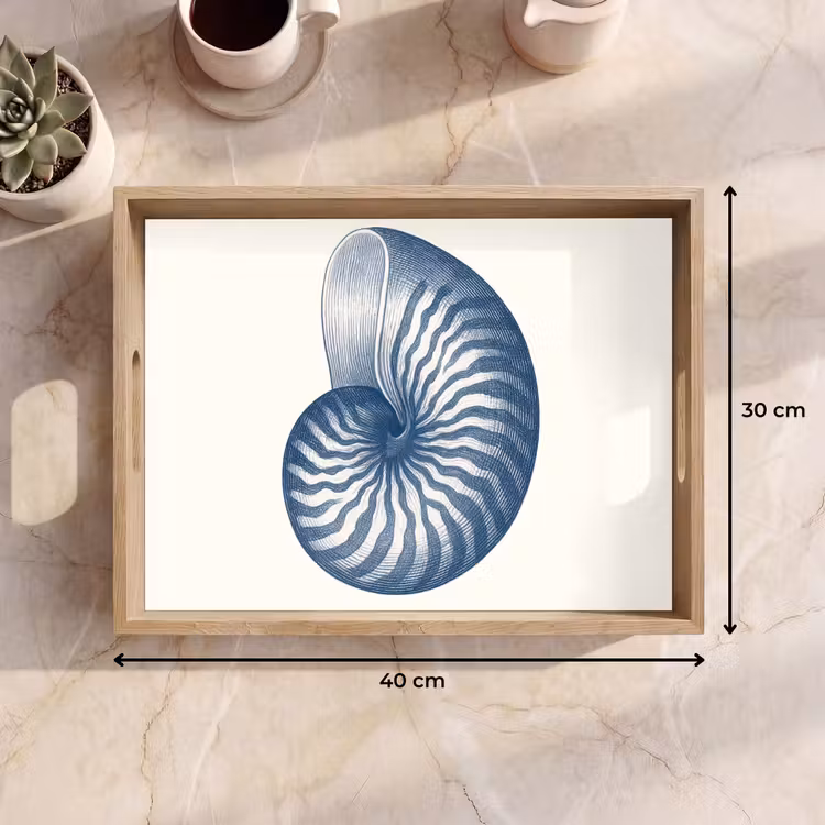 Blauw - Schelp - Spiraal Dienblad Rechthoek middel -USP_Formaat