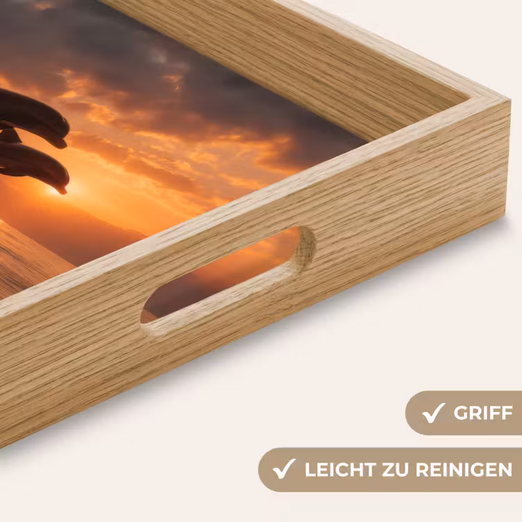 Dolfijnen - Zee - Realistisch Dienblad Rechthoek middel -USP_HandgreepDE
