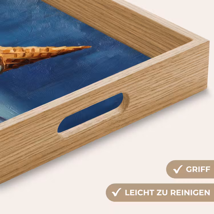 Ijshoorn - Bolletjes - Smelt - Roze Dienblad Rechthoek middel -USP_HandgreepDE
