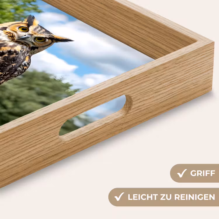 Uil - Boomstronk - Bos - Lucht Dienblad Rechthoek middel -USP_HandgreepDE